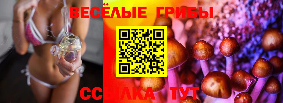 Псилоцибиновые грибы Cubensis  Галлюциногенные грибы прущие грибы  Вход с VPN  Дюртюли 