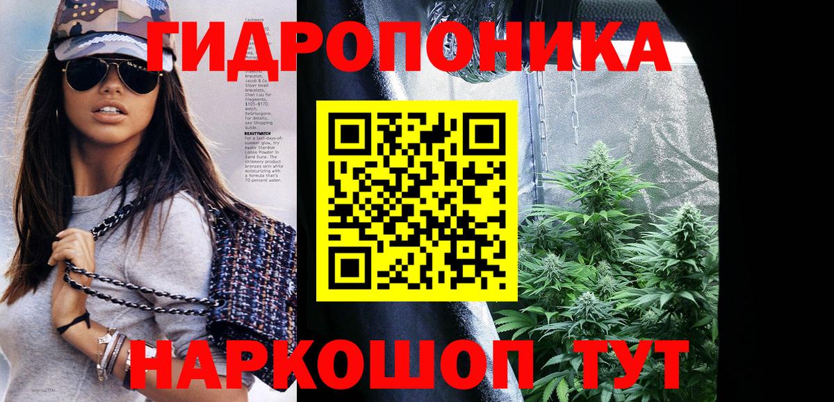 Конопля AK-47  Каннабис планчик  Бошки Шишки сатива  Вход с VPN  Дюртюли 